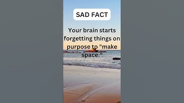 Your brain starts forgetting things on purpose to make space ... #facts #shorts #viralshorts