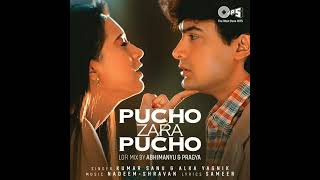 Pucho Zara Pucho | AamirKhan, Karisma Kapoor | AlkaYagnik, Kumar Sanu | RajaHindustani | 90's Hit