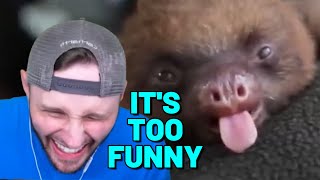 SSundee just couldn't stand funny animal videos