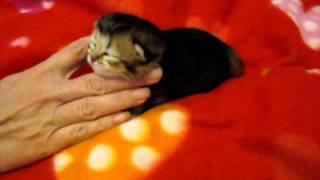 20110904 Hot stuff 1 week.MOV