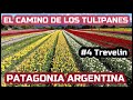 Cómo no venir a este lugar🌷TREVELIN🍇 Patagonia Argentina 🇦🇷