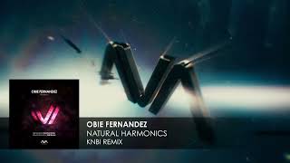 Obie Fernandez - Natural Harmonics (KNBI Remix)