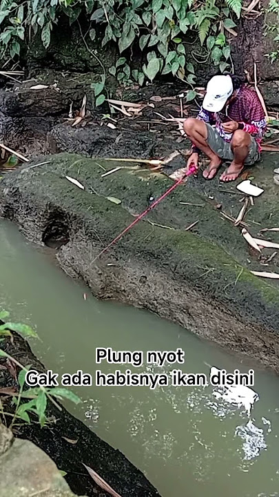 mancing nilem di selokan #shorts