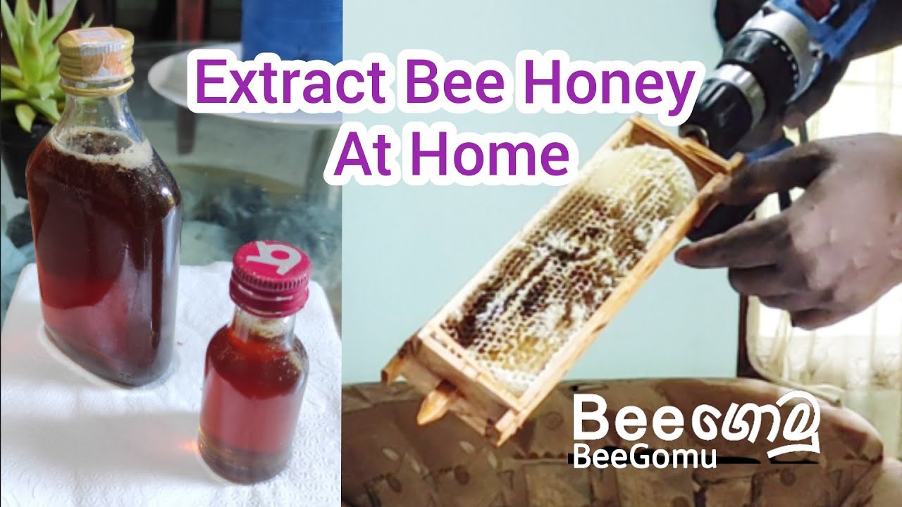 Simple way to Extract Bee Honey at Home - YouTube
