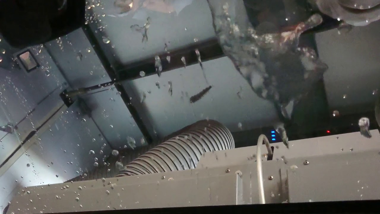 アルファード30黒初洗車機突っ込むとどうなるか 傷だらけ