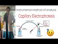 Capillary Electrophoresis Explained | Principle, Instrumentation, Applications | B.Pharm Malayalam