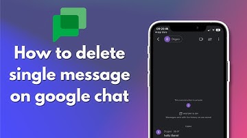 How to delete single message on google chat 2024