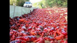 Python/C/C++ developer learns Rust from scratch - Chapter 1 Net Worth