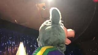 Chuck E Cheese Is All About Fun - 3 Stage, Southgate Michigan