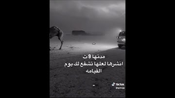 #القرآن_الكريم #اكسبلور #تلاوة_خاشعة #حالات_واتس #لايك #allah