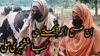 Aj subho ankh khulty keya kuskabry mely | Amezing Rania Vlog |