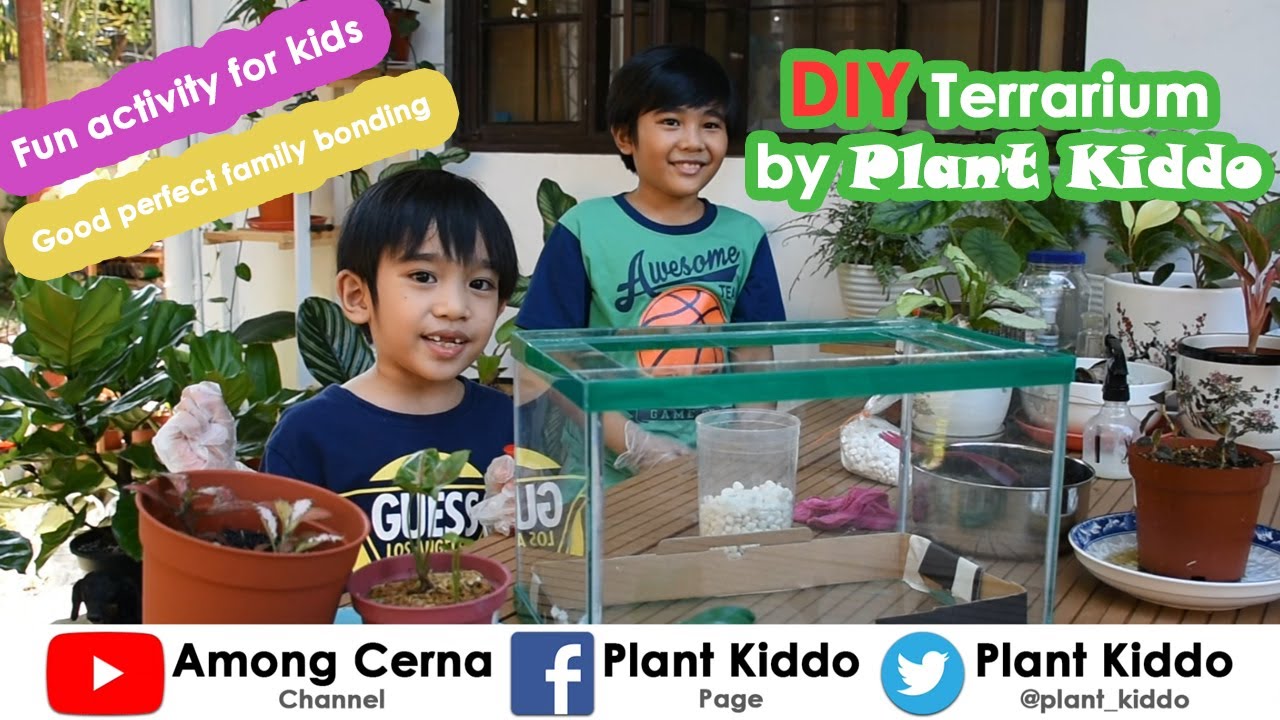 Easy and Fun Kids Activity: How to make a TERRARIUM by Plant Kiddo ...