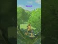 horse totally messed me up #zeldabotw #breathofthewild #gaming #zelda
