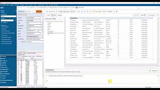 AAI Studio - Change Themes, Grouping, and Sorting in Reports