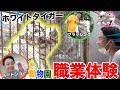 【職業体験】動物園の飼育員になって赤ちゃんに会って日本初の体験をしました！
