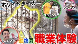 [OntheJob Training] Taking Care of Animal Babies at the Zoo, and a First in Japan!