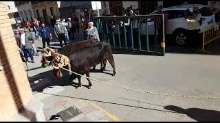 Pequeño sobresalto