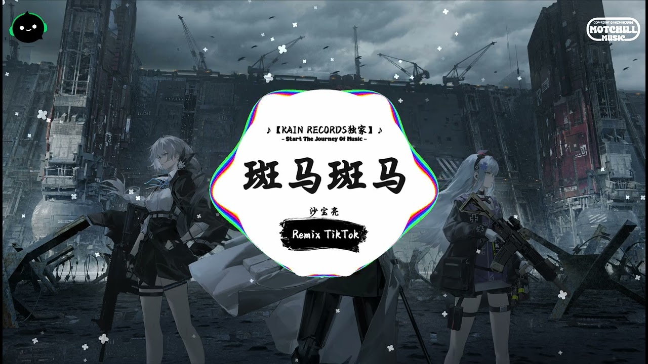 斑马斑马 (抖音DJ版) - 沙宝亮『斑马斑马 你不要睡着啦，再给我看看你受伤的尾巴。』♪ || 抖音最火歌曲音 | 抖音 | TikTok ♪