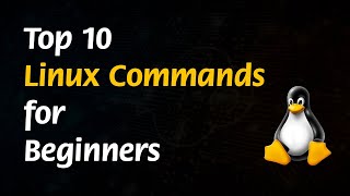 Top 10 Linux Commands for Absolute Beginners