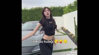 Beyfendi Burası Zara Çekme