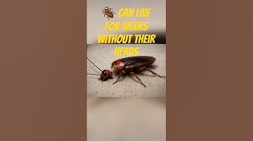 Nature, Science, and Chaos: 15 Wild True Facts #science #facts #space #shorts