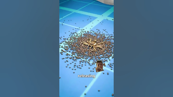 ￼Why you shouldn’t stomp on a spider 🕷️
