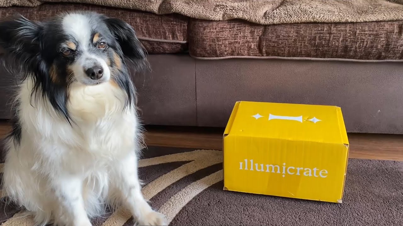 Illumicrate Unboxing - May 2025