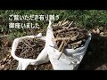 小春日和には、小枝の薪作り