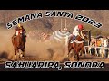 Carreras de Caballos en Sahuaripa, Sonora 08 de Abril 2023