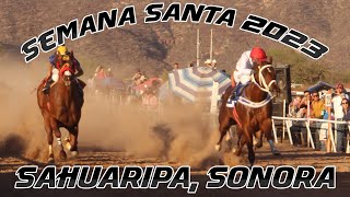 Carreras de Caballos en Sahuaripa, Sonora 08 de Abril 2023