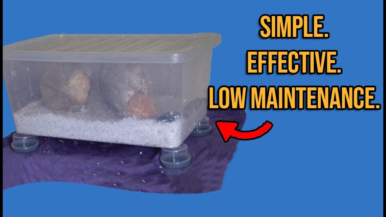 How To Make A Shotgun Fruiting Chamber