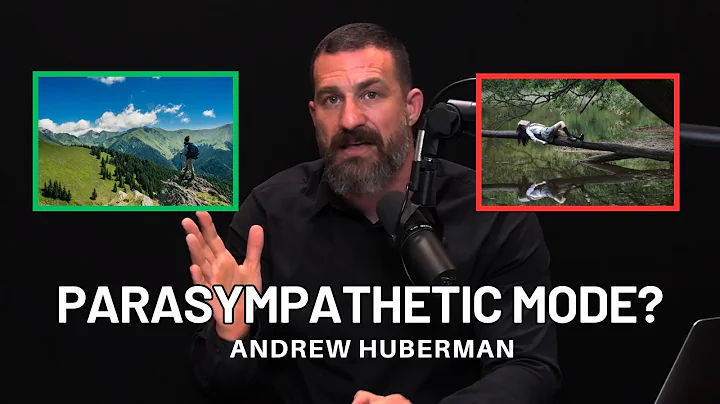 NUEROSCIENTIST: How Fasting Impacts Your Ability to Focus | Andrew Huberman