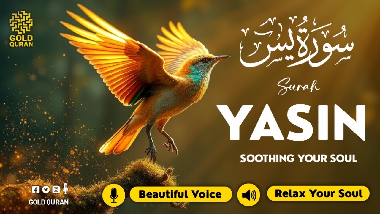 Calming Surah Yasin for Insomnia Relief, Emotional Healing, Inner Peace ✦ Quran For Sleep ✦ سورة يس