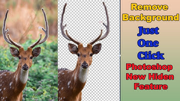 Remove background with just one click In Photoshop