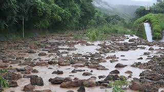九州で豪雨　鹿児島県志布志市の土砂崩れ現場