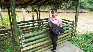 Build Pig House With Concrete Floor And Bamboo - Harvest Duck Eggs At The Farm | Tiểu Vân Daily Life