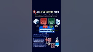 How DHCP Snooping Works #cybersecurity #dnstunneling #dnspy