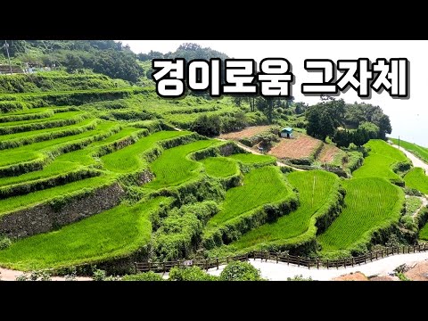 밥도둑 <strong>멸치쌈밥</strong>! 시골 할매 막걸리에 해물파전! [맛있겠다 Yummy]