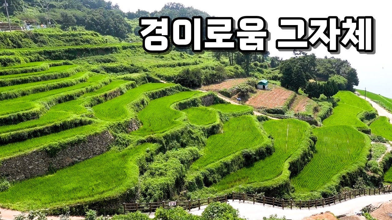田舎ハルメマッコリの紹介画像 (1/1)
