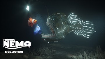 Honor of Nemo #FindingNemo#procurandonemo #findingdory #viral #funny #disney #disneyplus #3dsmax