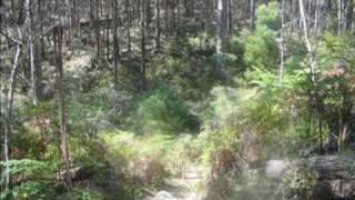 Mt. Cole State Forest - The Glut Hike