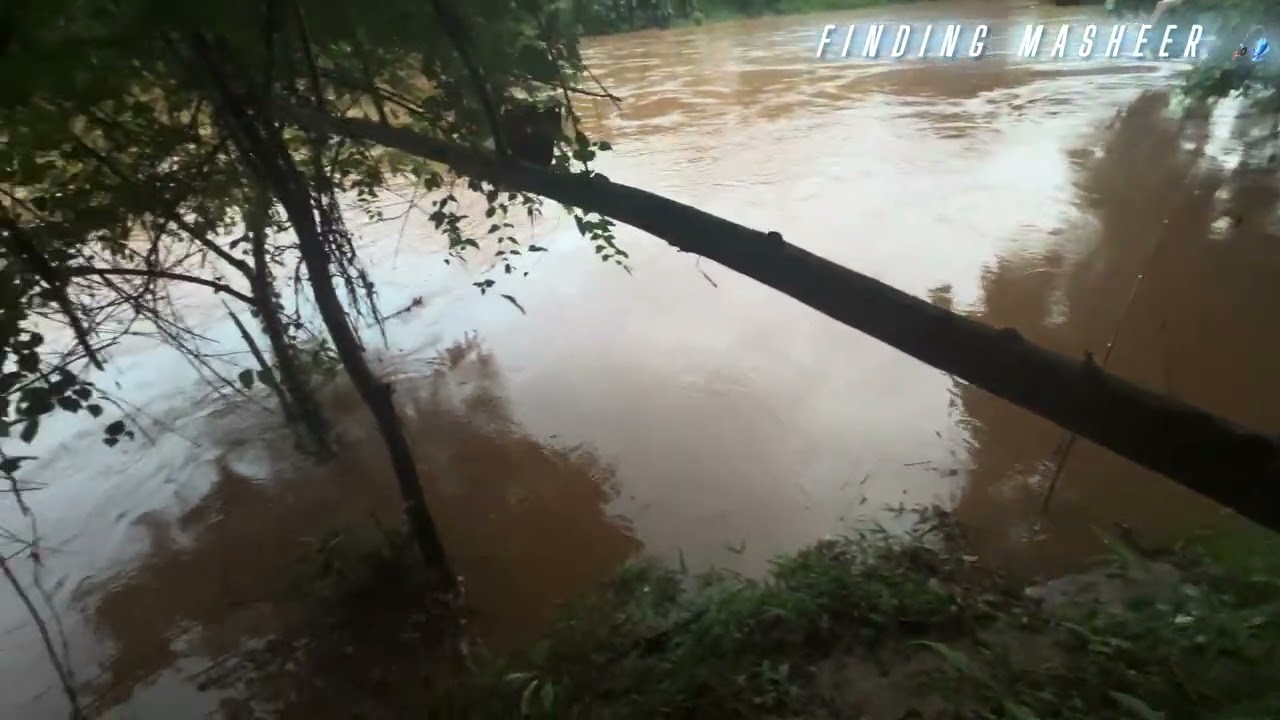 Khwai dohkha wah lailad 🎣 saw heh um kysan mynstep #15-08-25 happy independence day 🇮🇳 