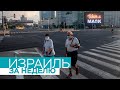 Израиль за неделю / 14.11.2020