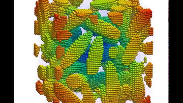 Suspension modeling - the Particle Simulation group at the Fraunhofer IWM