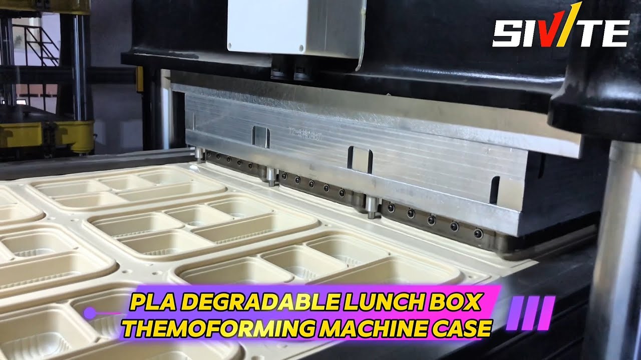 PLA degradable lunch box and environmental protection tableware manufacturing
