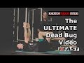The ULTIMATE Dead Bug Video