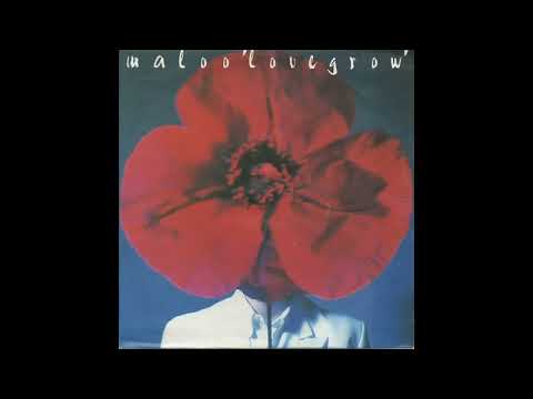 Kurt Maloo — Kurt Maloo - Lovegrow (Extended)