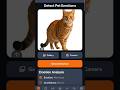 Pet Emotions Detection Flutter Mobile App #flutter #petemotions #petcare #mobileapps