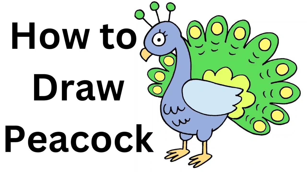 How to Draw Peacock 🦚...Kids Learning drawing... InFocus Entertainment...