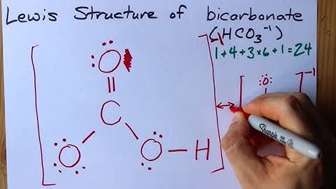 How to Draw the Lewis Structure of Bicarbonate (HCO3-)